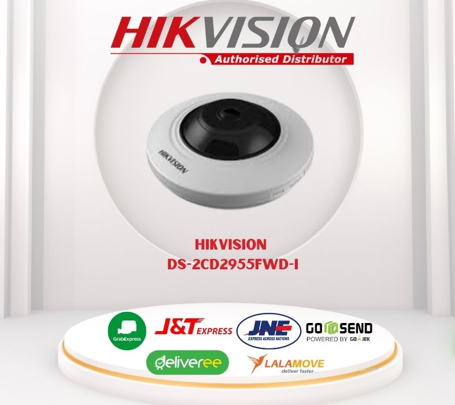 Hikvision DS-2CD2955FWD-I